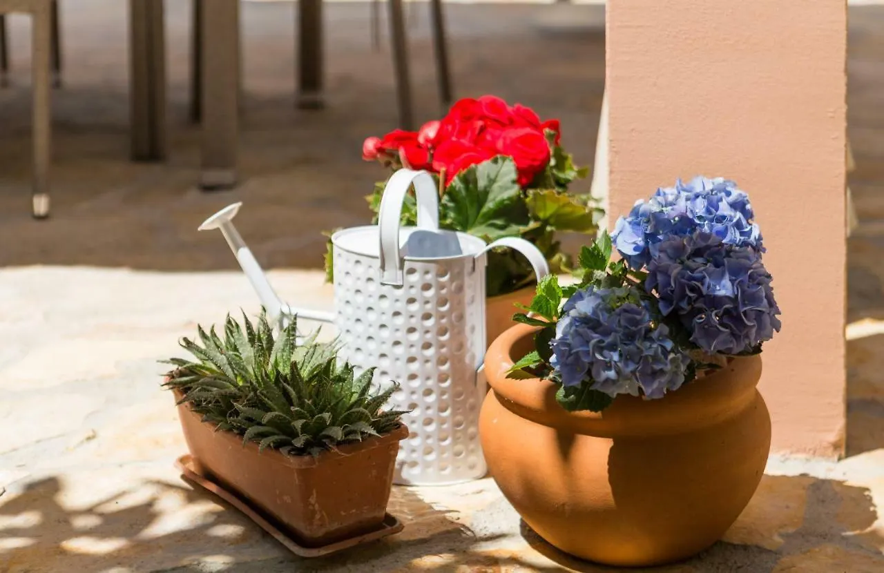Apartmani Oaza Trogir